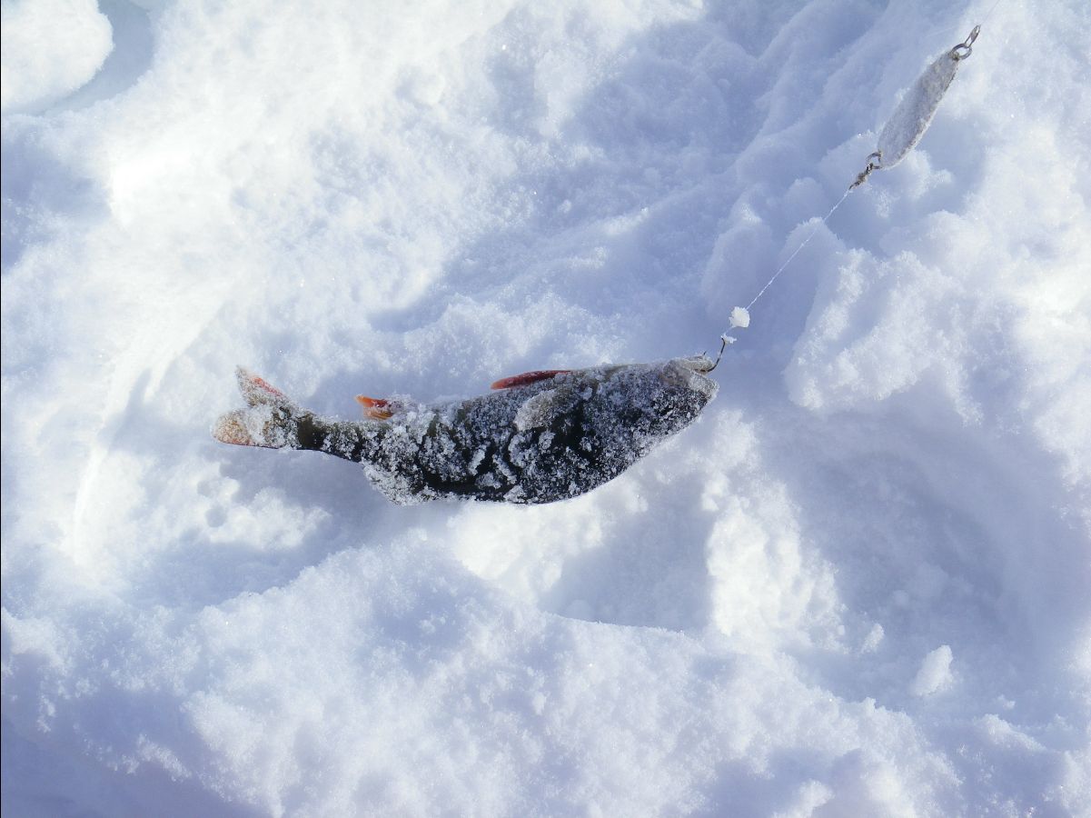 Ice Fishing23